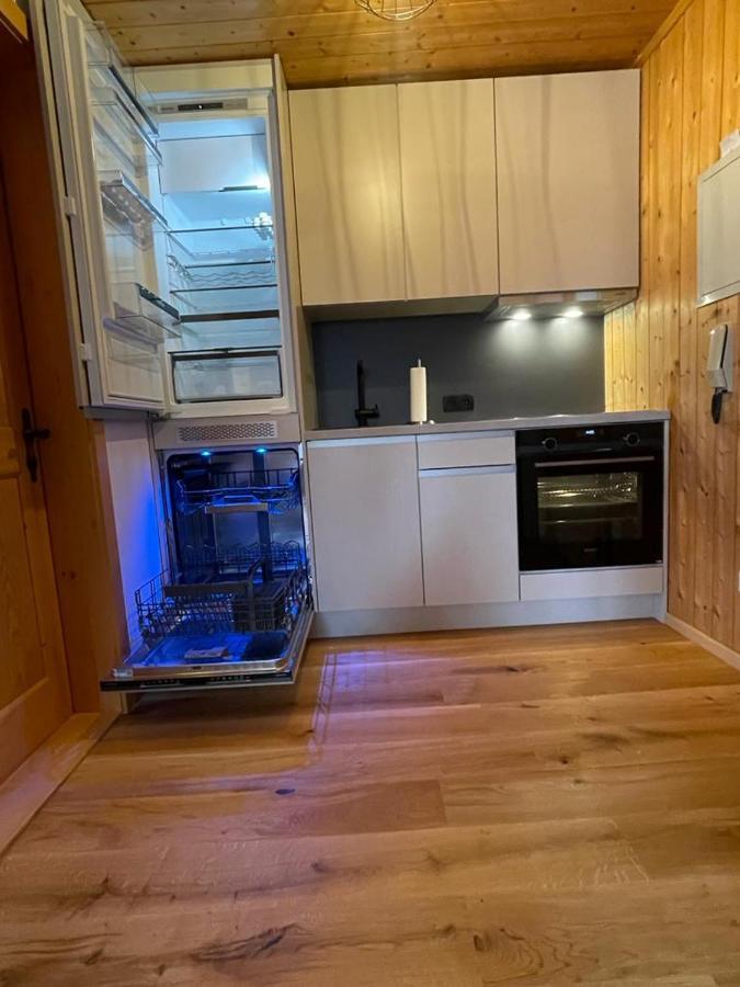 Appartement Melinda Ebnit ドルンビルン エクステリア 写真